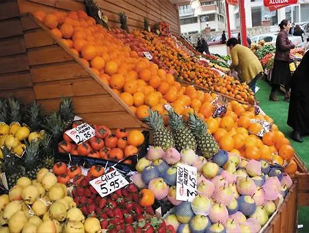 호텔 Club Chicago 말마리스